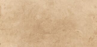 Gdzie najtaniej kupię papier toaletowy?