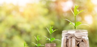 Czy w Żabce kupię kiełbasę?