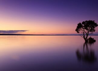 Ile wody do balonika w cewniku?