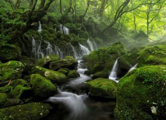 Co oznacza słaby strumień moczu?