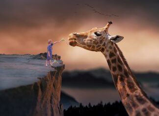 Czy można żyć z cewnikiem?